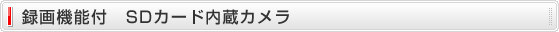 Ͽ赡ǽաSD¢